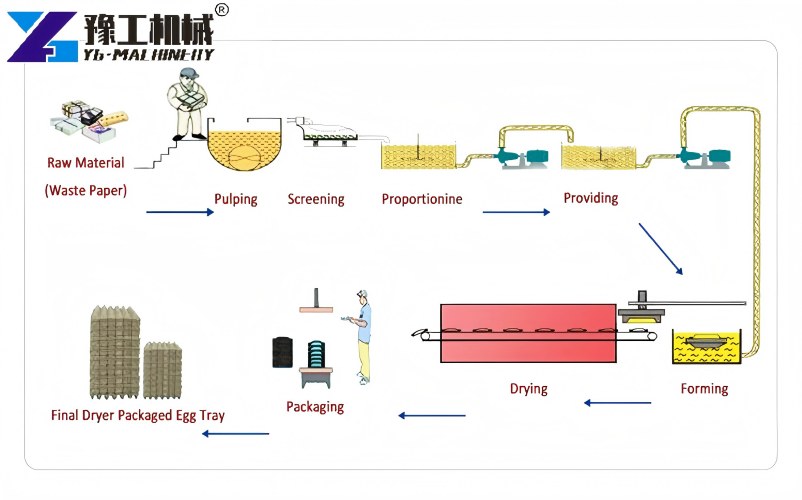 Egg Tray Production Process