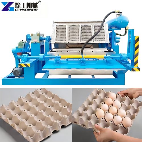 Molded Pulp Equipment Price