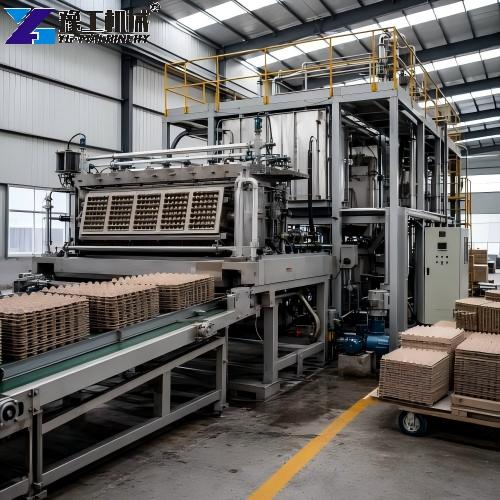 Egg Crate Making Machine With Finished Egg Trays