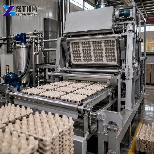 Egg Tray Making Machine