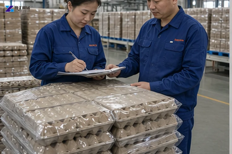 Egg Tray Manufacturing Plant Packing Area