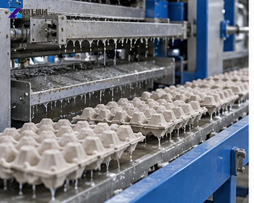Fresh wet molded egg trays moving along a forming conveyor