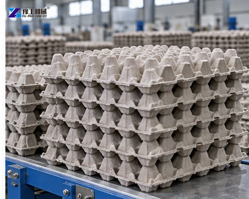 Stacks of finished molded egg trays on a production conveyor