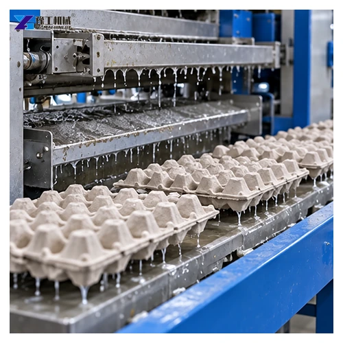 fresh wet egg trays transferring from the forming machine