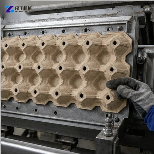 Egg Tray Forming Mold Inspection