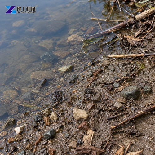 Small stones and short twigs mixed with wet pond-edge sediment