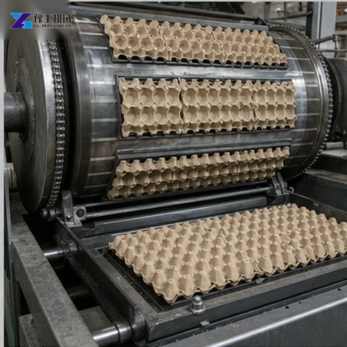 Egg Tray Manufacturing Machine Forming Section