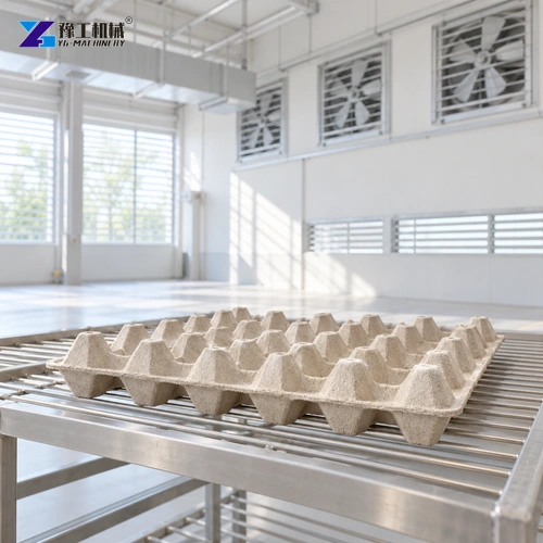 Wet egg tray drying support